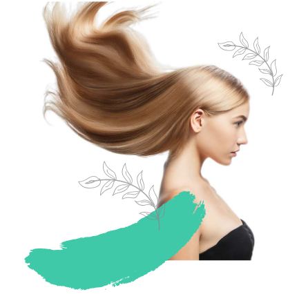 About Header